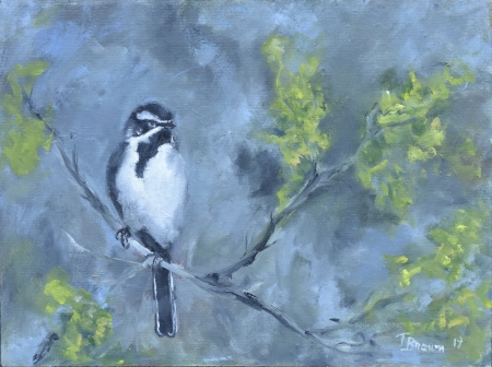 Black-throated Sparrow by artist Tammy Brown